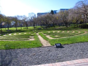 "As paredes estão em sua mente"